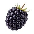 Fruta Decorativa Opuesta